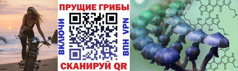 omg tor  Серафимович  Псилоцибиновые грибы мухоморы 